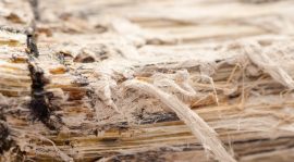 Sicher Arbeiten mit Asbest – die Sicherheitsvorschriften