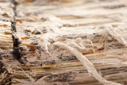Sicher Arbeiten mit Asbest – die Sicherheitsvorschriften